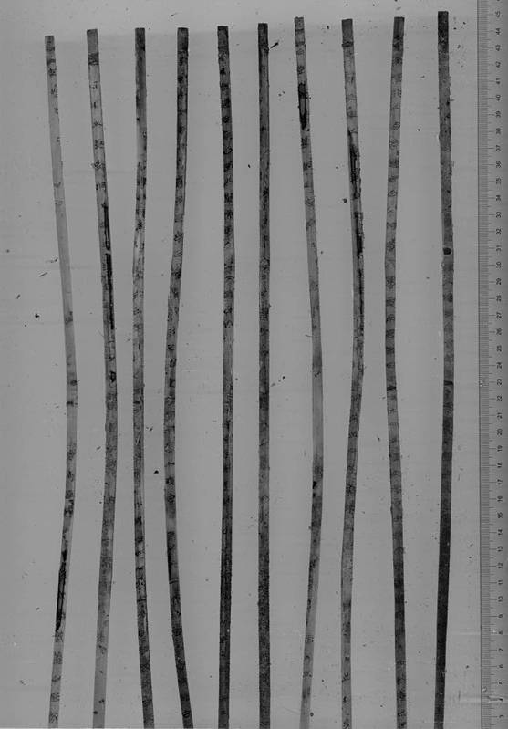 1669834915136232.png image.png